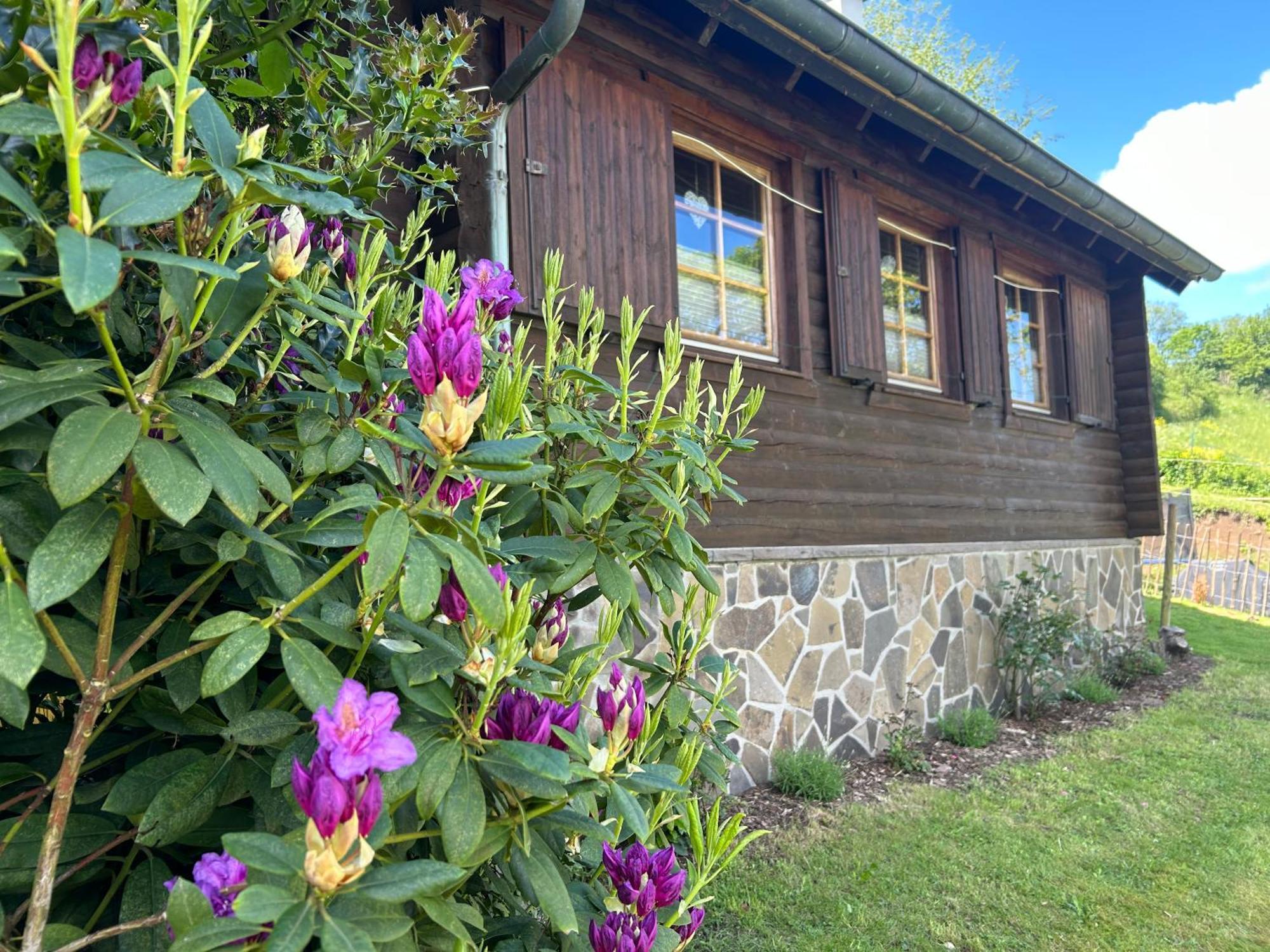 Vakantiehuis Blockhuette Engeln-eifel *